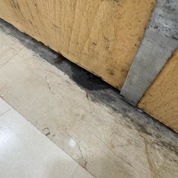 Mega Market Şubesinde Böcek Görüşü Ve Hijyen Eksikliği