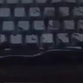 Wraith W60 Kitsune Edition Işıklandırma Sorunu