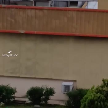 İhlas Armutlu Tatil Köyü Gürültüsü!