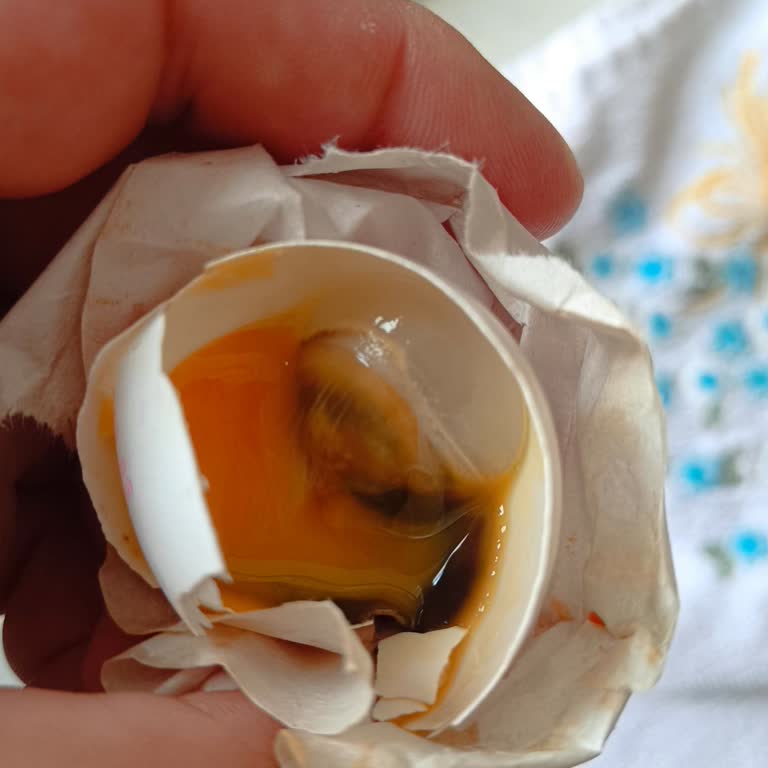 Bozuk Yumurta İçeren Paket İçin Ürün Denetimi Talebi