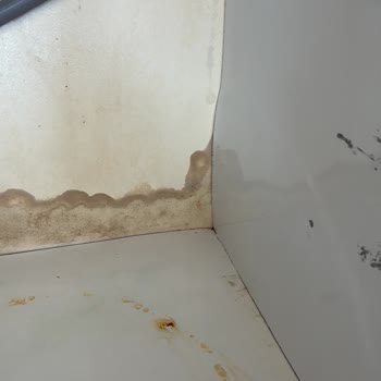 Rainwater Su Arıtma Cihazının Sızıntısı Ve Bodrum’da Servis Yokluğu