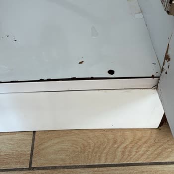 Rainwater Su Arıtma Cihazının Sızıntısı Ve Bodrum’da Servis Yokluğu