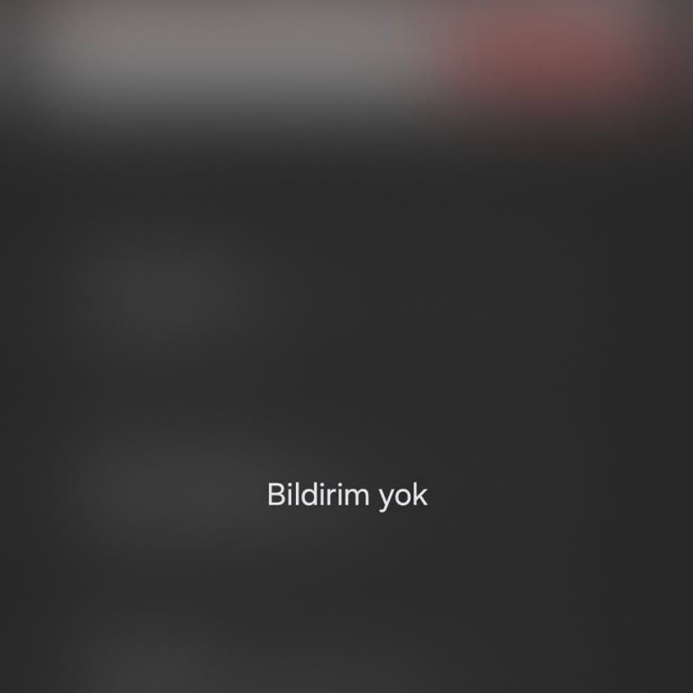 Kayıp DHL Gönderisi İçin 1800 TL İadenin Acil Talebi