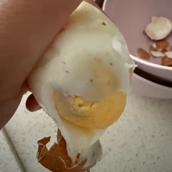 Tar Koop Marketten Bozuk Organik Yumurta Sağlık Endişesi Ve İade