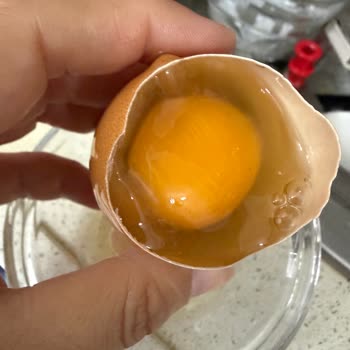 Tar Koop Marketten Bozuk Organik Yumurta Sağlık Endişesi Ve İade
