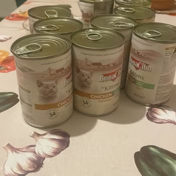 Aras Kargo Isparta Şubesinde Hasarlı Kedi Maması Ve Şeffaf Olmayan Bilgilendirme
