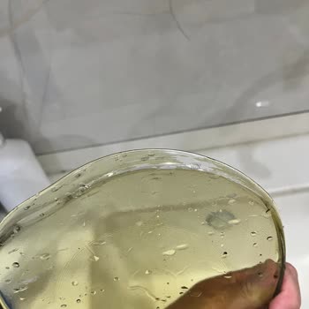 Kırık Ve Boyası Soyulan Geo Pasta Tabakları İçin Değişim Talebi