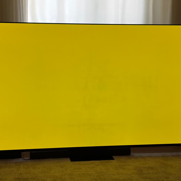 Teşhir Ürünü Samsung TV'de OLED Yanığı Ve Servis Gecikmesi