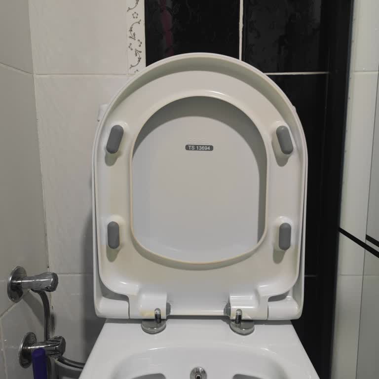 Klozet Kapağının Hızlı Sararması Ve Değişim Talebi