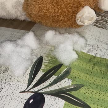 Köpek Oyuncağı Anında Parçalandı, Sağlık Riski Ve Kalite Sorunu