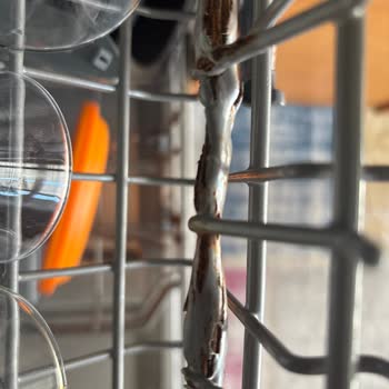 Paslanan Sepetler Ve Düşen Yıkama Performansı Nedeniyle Teka DW605S İçin Değişim Talebi