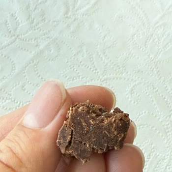 Hindistan Cevizli Meyve Barında Sinek Yumurtası Tespiti Ve Sağlık Endişesi