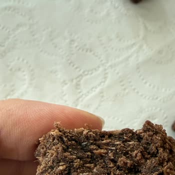 Hindistan Cevizli Meyve Barında Sinek Yumurtası Tespiti Ve Sağlık Endişesi