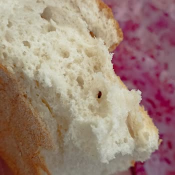 Çukurova Belediyesi Halk Ekmek Satış Noktasından Aldığım Ekmeklerin İçinden Böcek Çıkıyor