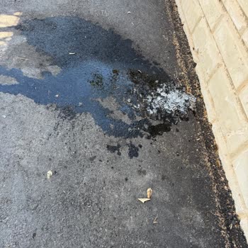 Carwax’ta 3 Saat Bekleme, Araç Temizlenmedi Ve Evraklar Suya Maruz Kaldı