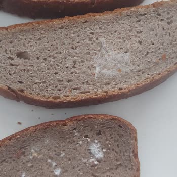 Küflü Ekmek Teslimatı Ve İade Talebi