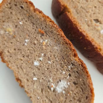 Küflü Ekmek Teslimatı Ve İade Talebi
