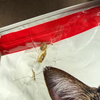 Hasarlı Kedi Maması Ambalajı İçin İade Reddi Ve Müşteri Hizmetlerine Ulaşılamama