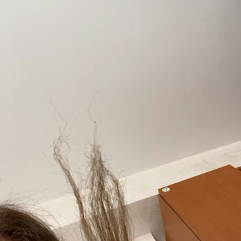 Keratin İşlemi Sonrası Saç Yanması Ve Kuaförün Sorumluluk Reddetmesi