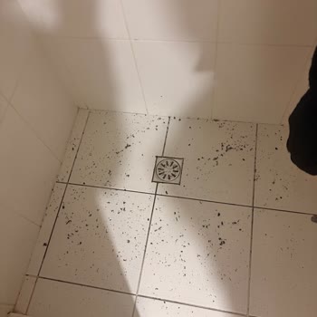 Mavi Kapüşonlu Cekette Tüylenme Sorunu Ev Ve Çamaşır Makinesini Kirletti