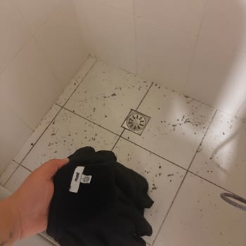 Mavi Kapüşonlu Cekette Tüylenme Sorunu Ev Ve Çamaşır Makinesini Kirletti