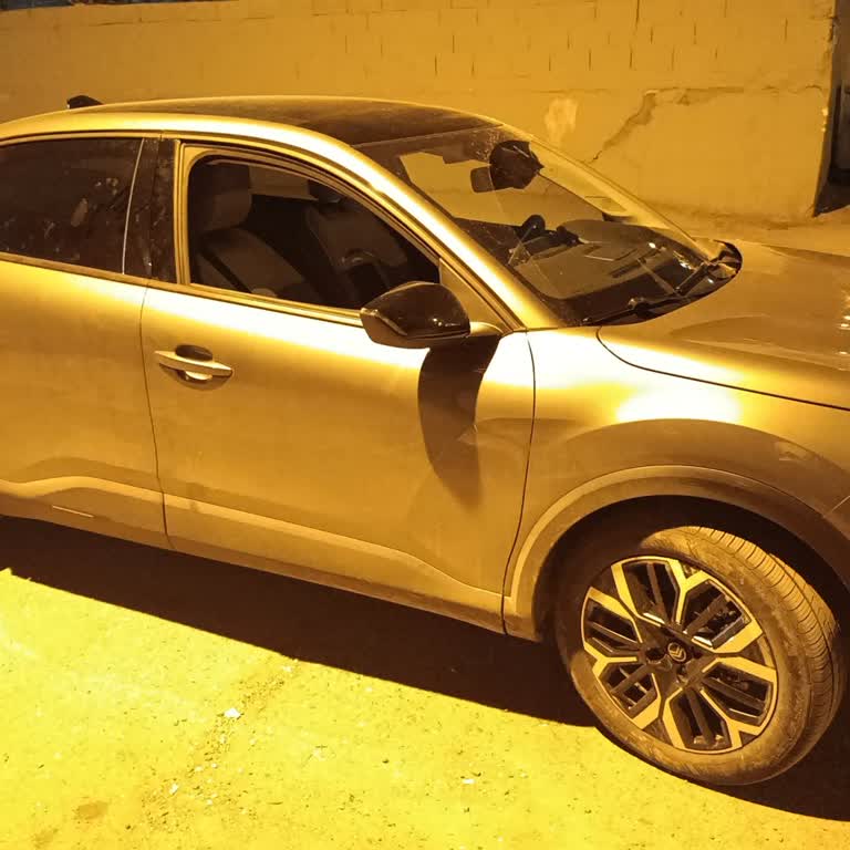 Citroen Araçta Sorun Yaşama