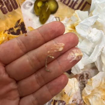 Döner Dürüme Kaçan Tel Zımbası Ve İlgisiz Çalışan Yaklaşımı