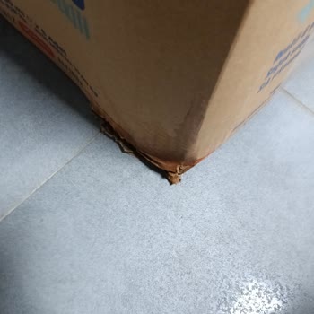 A101 Ekstra'dan Eksik Ve Hasarlı Ürün Teslimatı
