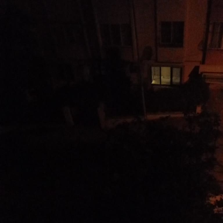 Büyükçekmece Fatih Mahallesinde Sokak Lambası Çalışmıyor Ve Ağaç Kuruyor