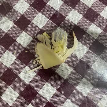 İşkembe Çorbası Soğuk, Sarımsak Ve Sirke Yok, Yan Ürünler Ve Ekmek Eksik