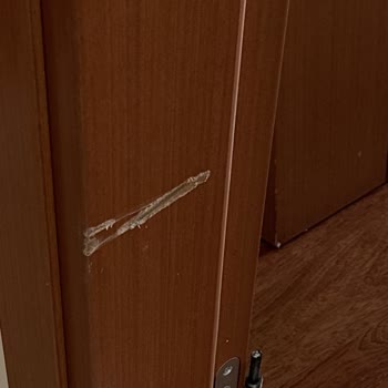 Taşıma Sözleşmesi İhlali Aşırı Hasar Ve Umursamaz Davranış Şikayeti