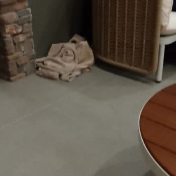 Çocuklu Spa Kullanımında Çelişkili Bilgi, Kaba Personel Ve Oda Böcekleri