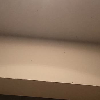 Çocuklu Spa Kullanımında Çelişkili Bilgi, Kaba Personel Ve Oda Böcekleri