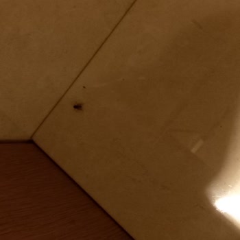 Çocuklu Spa Kullanımında Çelişkili Bilgi, Kaba Personel Ve Oda Böcekleri