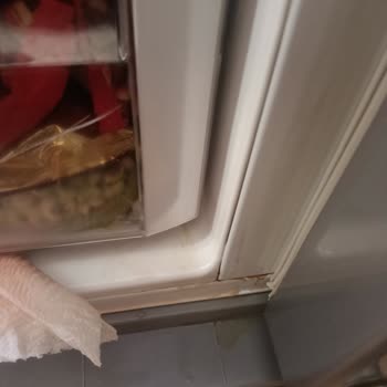 Samsung Gardırop Tipi Buzdolabının Sürekli Soğutmama Sorunu Ve Tekrarlayan Servis Ücretleri