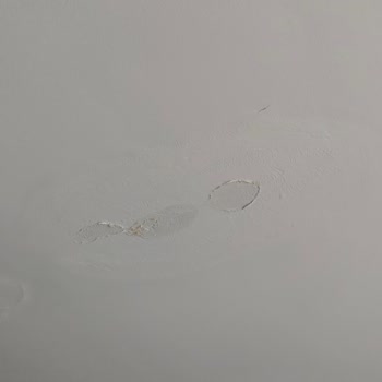 Çatının Su Sızıntısı Ve Yönetimin İlgisiz Tutumu