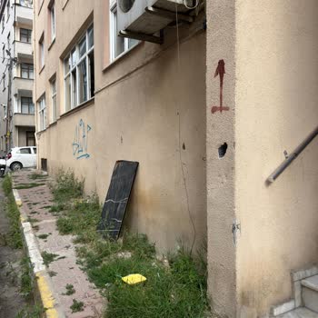 Uzayan Otlar Ve Graffiti Nedeniyle Apartman Girişi Tehlikede