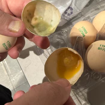 Sürekli Ürün Kalitesi Sorunları: Bozuk Yumurta Olayı