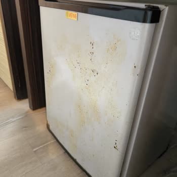 Luna Beach Otelinde Hijyen, Bakım Ve Personel Davranışı Nedeniyle Mağduriyet