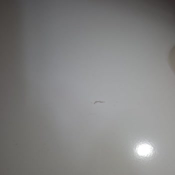 Çizik Ve Gürültülü Derin Dondurucu İçin İade Talebi