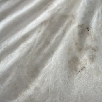 Kıyafetlerimde Küf Ve Kararma Lekeleri Oluşturan Samsung Çamaşır Makinesi İçin Tazminat Talebi