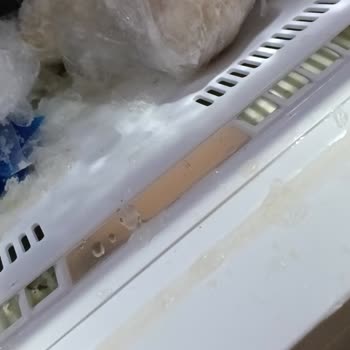 Arçelik Buzdolabının Soğutmaması Ve Gıdaların Bozulması İçin Hızlı Çözüm Talebi