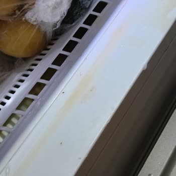 Arçelik Buzdolabının Soğutmaması Ve Gıdaların Bozulması İçin Hızlı Çözüm Talebi
