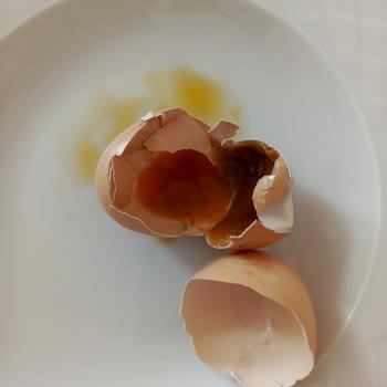 Malatya Esenlik Market’te Bozuk Yumurta, Çocuk Sağlığına Tehdit