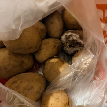 Migros Hakkari Şubesinde Küflü Soğan Ve Çürük Patates