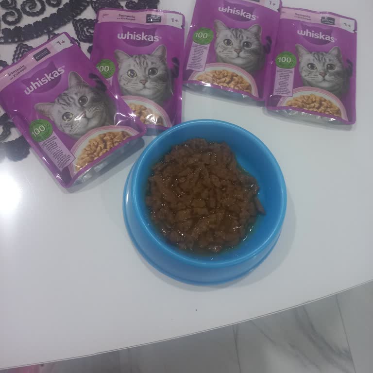 Kedi Maması Yanlış Gönderildi, İade İşlemi İlerlemedi