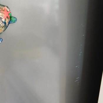 Önder Nakliyat’tan Sigortalı Taşınmada Eşyalar Hasarlı, Sorumluluk Almıyor