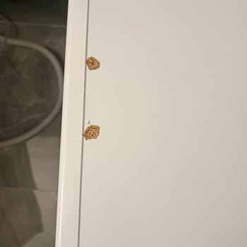 Beko Montaj Aparatı Çamaşır Makinesinde Delik Açtı Ve Çatlak Yarattı