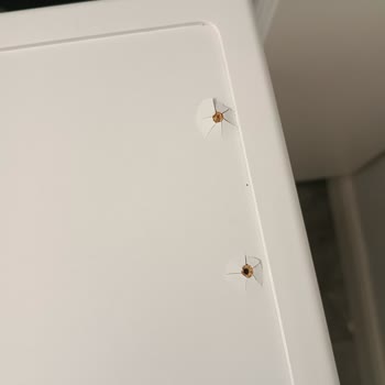 Beko Montaj Aparatı Çamaşır Makinesinde Delik Açtı Ve Çatlak Yarattı