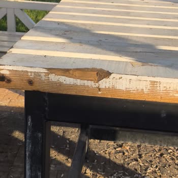 Karatay Sedirler Parklarındaki Çöp Dolu Ortam Ve Kırık Kamelyalar Acil Çözüm Bekliyor